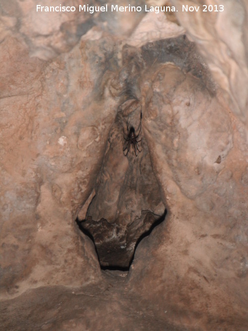 Santuario prehistórico de la Cueva de Golliat - Santuario prehistórico de la Cueva de Golliat. Hornacina en flecha
