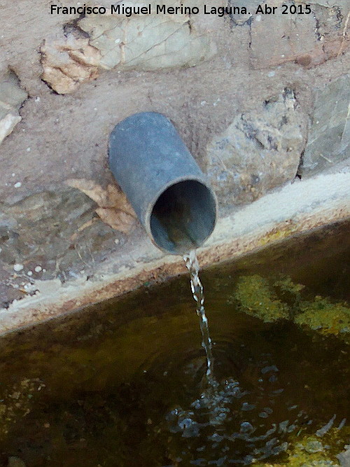 Pilar de los Barrancos - Pilar de los Barrancos. Caño