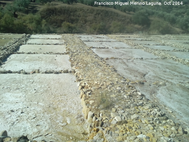Salinas de San José - Salinas de San José. 