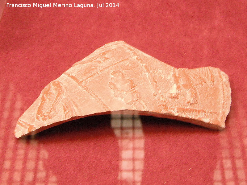 Terra sigillata hispana - Terra sigillata hispana. Museo Arqueológico de Almuñécar