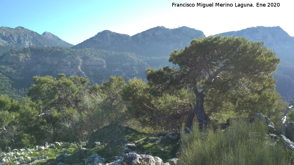 Cerro Pinillo - Cerro Pinillo. Vistas hacia la Tejerina