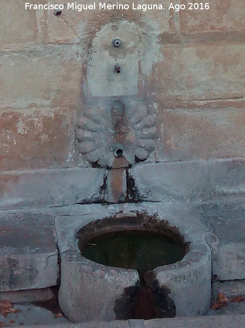 Fuente de la Yedra - Fuente de la Yedra. Caño