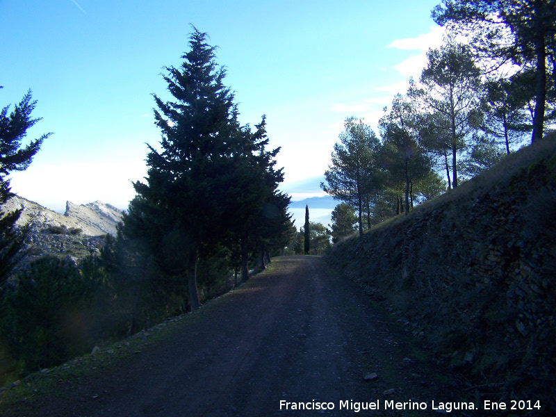 Camino del Pico Jabalcuz - Camino del Pico Jabalcuz. 