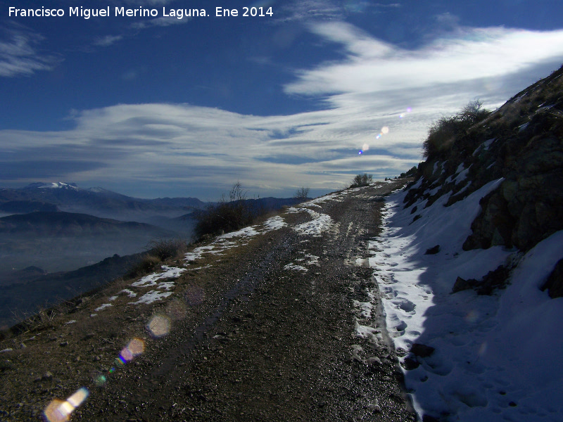 Camino del Pico Jabalcuz - Camino del Pico Jabalcuz. 