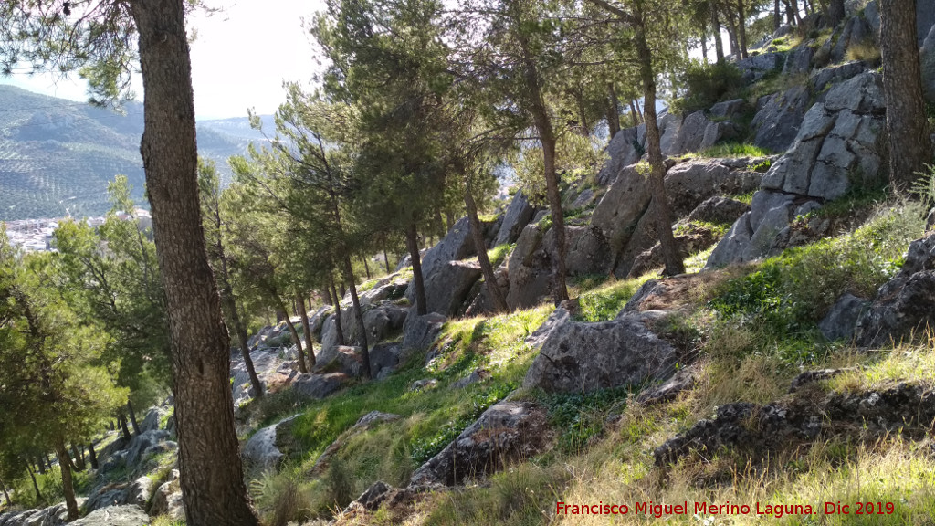Cerro de Santa Catalina - Cerro de Santa Catalina. Ladera norte