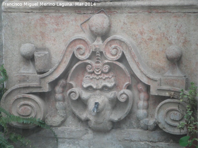 Palacio de los Salazares - Palacio de los Salazares. Mascarón