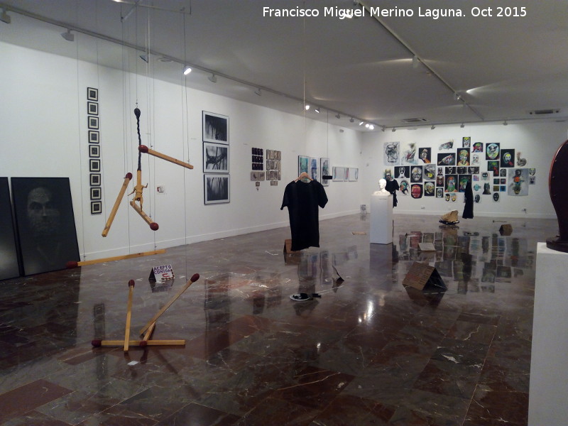 Museo Provincial - Museo Provincial. Sala de exposición temporal