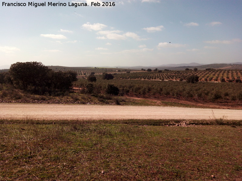 Cortijo de Don Andrés - Cortijo de Don Andrés. Vistas
