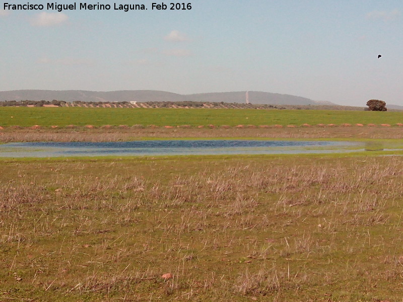 Laguna de los Perales - Laguna de los Perales. En sequía