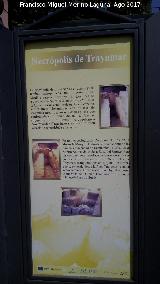 Necrpolis de Trayamar. Cartel