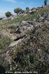 Aljibe de Peñaflor. Pozos