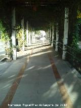 Parque de la Concordia. Pérgola