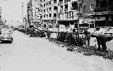 Paseo de la Estacin. 