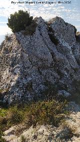 Pe�as de Castro. Cumbre sur