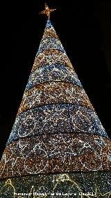 Plaza de Santa Mar�a. Navidad