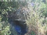 Pozo de Las Cañadas. 