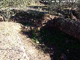 Alberca Baja de la Fuente del Rosal. Canalización y alberca