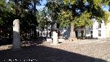 Plaza Jernimo Pez. 