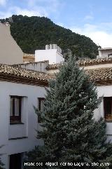 Convento de los Jesuitas. Desde la galería alta del patio principal el cerro de Santa Catalina