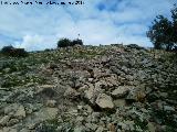 Necrópolis de las Torrecillas. 