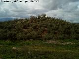 Necrópolis de las Torrecillas. 