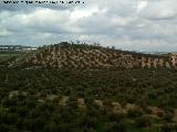 Necrópolis de las Torrecillas. 