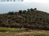 Necrópolis de las Torrecillas. 