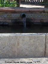 Pilar de Cadimo. Caño