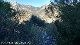 Sierra de Jaén. Vistas desde El Cuchillejo