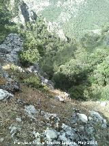 Sierra de Jaén. Arroyo de la Rinconada de los Acebuches