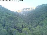 Sierra de Jaén. Garganta de los Ladrones
