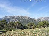 Sierra de Jaén. Desde el Puerto de los Madroñales