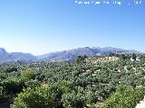 Sierra de Jaén. 
