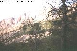Sierra de Jaén. 