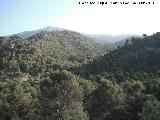 Sierra de Jaén. 