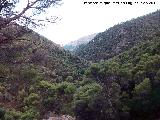 Sierra de Jaén. 