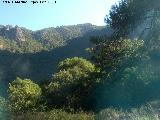 Sierra de Jaén. 