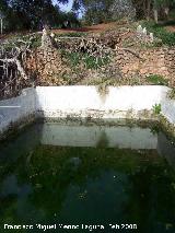 Alberca de Martín Lechuga. 