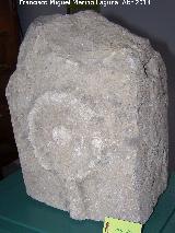 Cortijo de La Torre. Museo Arqueológico Profesor Sotomayor - Andújar