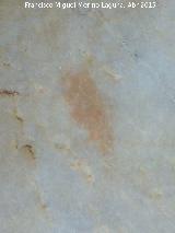 Pinturas rupestres del Abrigo de los rganos II. Mancha