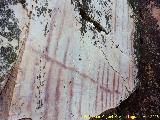 Pinturas rupestres de las Vacas del Retamoso X. Parte superior