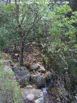 Arroyo de Peña Escrita. 