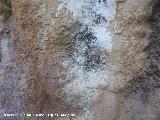 Pinturas rupestres del Abrigo de los Ca�ones IV. Pintura rupestre falsa