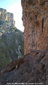 Pinturas rupestres del Abrigo de los Ca�ones IV. 