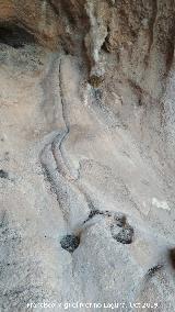 Pinturas rupestres del Abrigo de los Ca�ones IV. Cazoletas