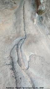 Pinturas rupestres del Abrigo de los Ca�ones IV. Canalizaci�n