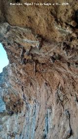 Pinturas rupestres del Abrigo de los Ca�ones IV. Estalactitas