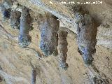 Pinturas rupestres del Abrigo de los Ca�ones IV. Estalactitas