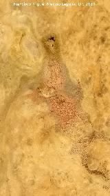 Pinturas rupestres del Abrigo de los Ca�ones IV. Pintura