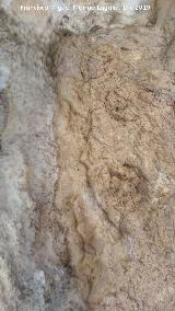 Pinturas rupestres del Abrigo de los Ca�ones IV. Panel